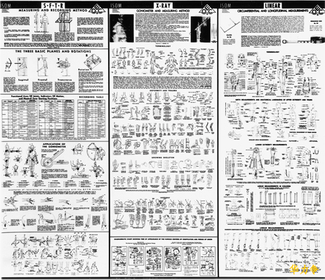 透明塑料测角仪(图2)